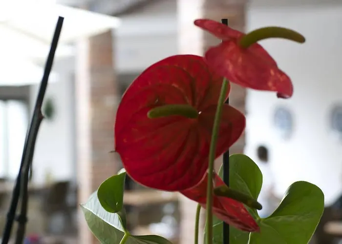 L'hostalet Vendégház